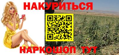 гидра Волгодонск