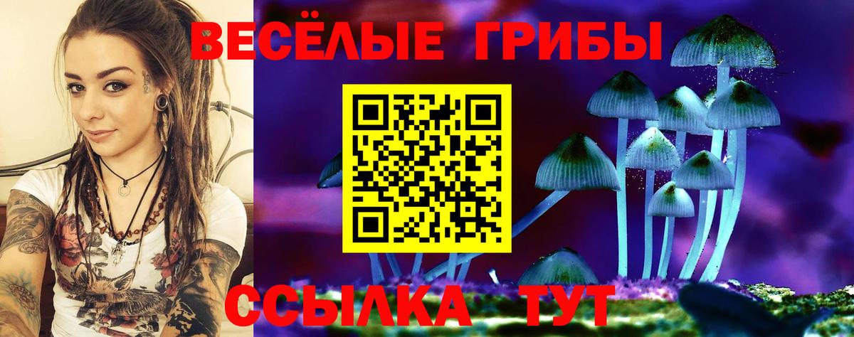 Псилоцибиновые грибы Cubensis  Обнинск 