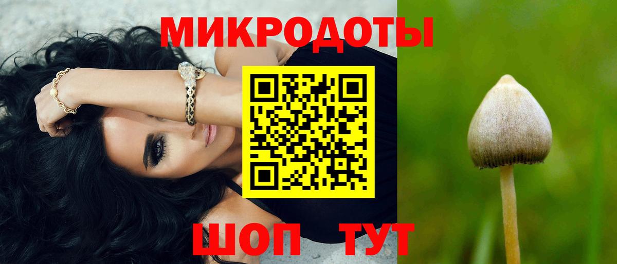 Галлюциногенные грибы прущие грибы Обнинск